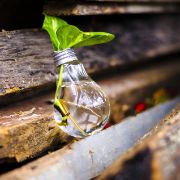 riciclo lampadina, ecologia